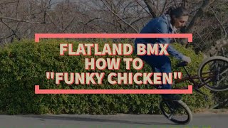 BMX FLATLAND BASIC TRICK How To quotFunky Chickenquot [upl. by Bridget]