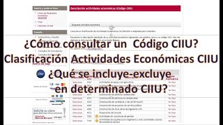 ¿Cómo consultar los códigos CIIU Actividades Económicas CIIU para RUT para Cámara [upl. by Kliman404]