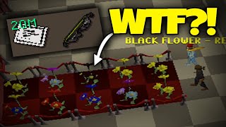 I planted a BLACK FLOWER on my OAK for a BANK POT WTF Roat Pkz OSRS RSPS [upl. by Zahc]