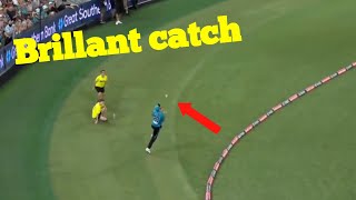 Brillant catch by Michael Neser Brisbane heat vs Sydney sixers [upl. by Yrrab852]