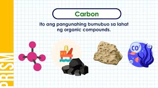 Ano ang Biogeochemical Cycle [upl. by Perrin]