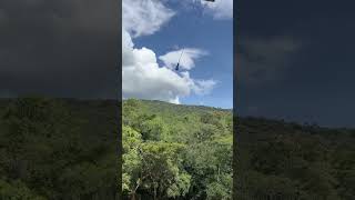 Salto en Bungee Jumping bungee bungeejumping xtreme nature [upl. by Nonad]