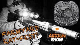 The Airgun Show  Farmyard Rat Attack  Weihrauch HW97 Review [upl. by Gemma]