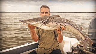 LA MERVEILLE DU FLEUVE PARANÁ  Cyril Chauquet [upl. by Catt]