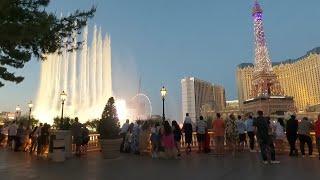 World Fabulous Las Vegas Strip Bellagio buffet [upl. by Tirrell995]