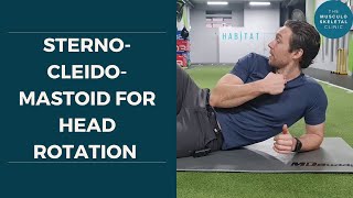 Strengthen your sternocleidomastoid for head rotation  The MSK Physio [upl. by Baal330]