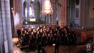 Augustana Choir  Indodana [upl. by Dlonyer]