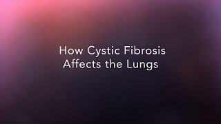 How Cystic Fibrosis Affects the Lungs [upl. by Llyrrad]