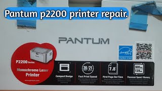 Pantum p2200 series printer repair in 2023 [upl. by Atsirk]