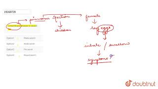 Enterobiasis disease is caused by [upl. by Ayt]