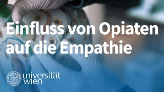 Wie wirken sich Opiate auf die Empathiefähigkeit aus  Vienna Cognitive Science Hub [upl. by Acile438]