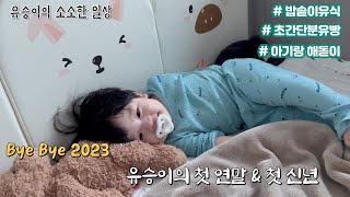 육아브이로그 10개월 아기와 연말 보내기😂초간단 밥솥 이유식🍳 초간단 분유빵🥧종달기상 아기와 해돋이보기🌄 [upl. by Atiugal]