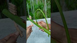 DIY  Bamboo Slingshots with Bamboo creations Bamboo Slingshots DIY Bambooart [upl. by Zaob305]