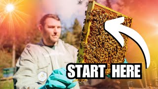 How To Start Beekeeping [upl. by Tallia]