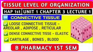 Connective Tissue  L2 Ch 3 Unit 1  Connective Tissue Anatomy And Physiology  lets care pharmacy [upl. by Amarillas]