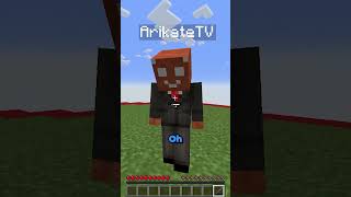 Arikate kennt mein tiefstes Geheimnis minecraft minecraftshorts [upl. by Riggs]