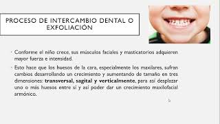 Dentición Infantil Dientes Anteriores [upl. by Gombach747]