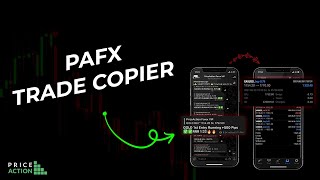 PAFX Trade Copier  Automated Trading Solution Instant and Flawless [upl. by Christabel]