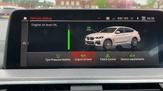 BMW X4 M40i Engine Oil Level Check [upl. by Sheela414]