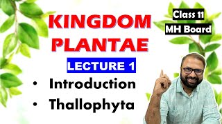 Thallophyta Kingdom Plantae Lecture 1  Class 11 Biology  Maharashtra State Board [upl. by Merell]