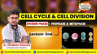 CELL CYCLE AND CELL DIVISION  L2  DIVISION PHASE  PROPHASE AND METAPHASE  NEET  BOARD [upl. by Aiekram]