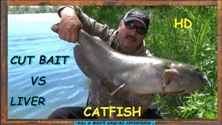 CUT BAIT VS CHICKEN LIVER CATFISH BAIT CHALLENGE [upl. by Lalittah]