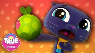 Autumn FULL EPISODES 🍏 Grabbleapple Harvest amp More 🌈 True and the Rainbow Kingdom 🌈 [upl. by Koziarz]