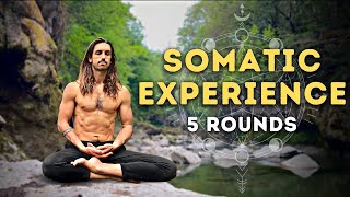 20 Minute Guided Breathwork For Body Awareness I 5 Rounds [upl. by Prima]