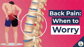 Low Back Pain Causes and 7 Worrying Signs [upl. by Balf]