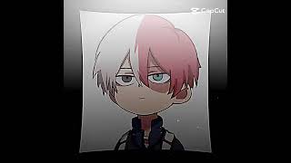 Picardy todoroki now☠️like and sub if u love todoroki😝✨ [upl. by Kella893]