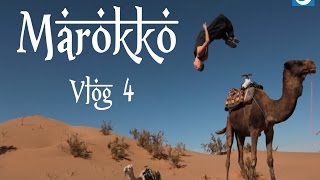 WILD PLASSEN IN DE WOESTIJN  Marokko Vlog Dag 4 [upl. by Tadich]