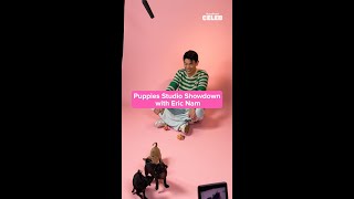 Our puppies are too wild for Eric Nam 😂 Puppy interview drops 1031 [upl. by Aisilef909]