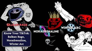 New TikTok Brainrot Balkan Rage  Noradrenaline  Winter Arc EXPLAINED [upl. by Oniluap935]