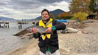 My kayak setup fishing Okanagan Lake at Trout Creek British Columbia [upl. by Kinata]