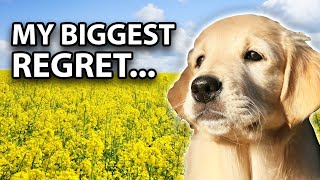 I Wish I Knew THIS Before Getting A Golden Retriever Puppy [upl. by Sterrett412]