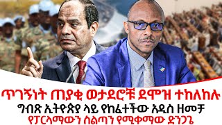 ግብጽ ኢትዮጵያ ላይ የከፈተችው አዲስ ዘመቻethiopiareporter [upl. by Nolyarg]