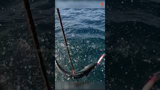 Catching King Fish in the Deep Sea fishing fishingvideo oceanfishing [upl. by Htebarual]