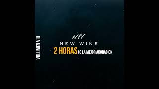 NEW WINE  2 horas de la mejor adoración VOL 8 😭😭 ENCUENTRO CON DIOS [upl. by Ahsitam27]