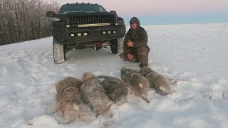 On the Trapline Ep 4  Great Coyote Trapping While Fighting Through a Tough Winter on the Trapline [upl. by Abate]