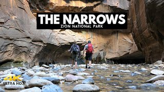 The Narrows  Zion National Park  A Beginners Guide [upl. by Hermosa]