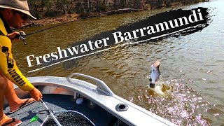 Fishing for freshwater BARRAMUNDI in Lenthalls Dam [upl. by Rudolf375]