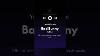 Bad Bunny  Yo Perreo Sola P2 [upl. by Llednik]