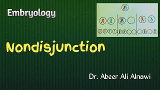 7 Embryology Nondisjunction  Dr Abeer Ali Alnawi [upl. by Hosfmann176]