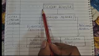 Consolidated Memory Model [upl. by Lilli]