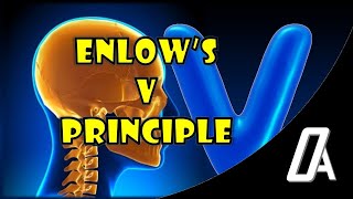 Enlows V Principle  Expanding V Principle  Growth and Development  Orthodontic Atheneum [upl. by Neomah550]