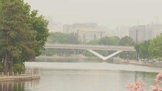 Hazy skies and poor air quality in Ottawa due to wildfire  Canada wildfires [upl. by Annaehr]