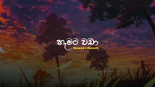 Hamata Wada  හැමට වඩා  Slowed  Reverb  PASIYA vibes [upl. by Susana888]