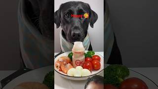 Happy dog kind owner🥰cutedogdog pets labradorshortsfunny viralvideo shortvideo 🥰🥰 [upl. by Ayk]