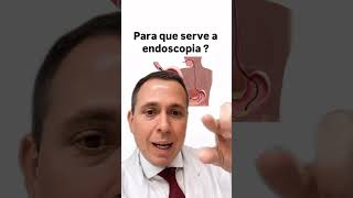 Para que serve a endoscopia [upl. by Evslin]