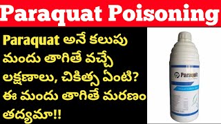 Paraquat Poisoning telugu కలుపు మందు తాగితే ఎం అవుతుంది paraquat [upl. by Stefania]